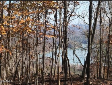 Oh the View! If your looking for Norris Lake & Mountain views - Lake Lot For Sale in New Tazewell, Tennessee