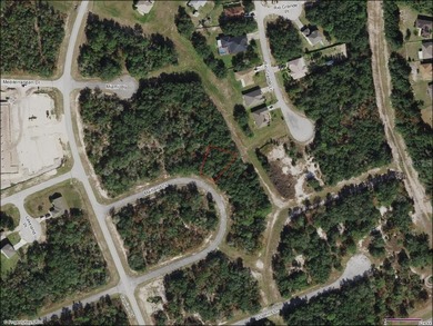 Lake Marion - Polk County Lot For Sale in Poinciana Florida