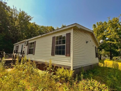 Otter Lake - Oneida County Home For Sale in  New York