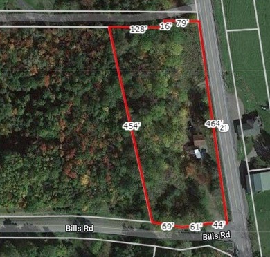Great location above Canandaigua Lake! No information on - photo 11