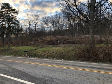 Great location above Canandaigua Lake! No information on - photo 12