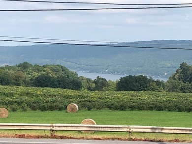 Great location above Canandaigua Lake! No information on - photo 13