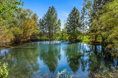 Silver Horse Ranch, a 40 acre private equestrian estate on the - photo 42