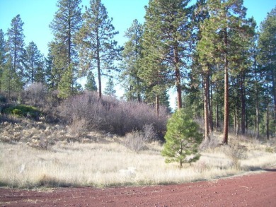 Lake Lot For Sale in Chiloquin, Oregon