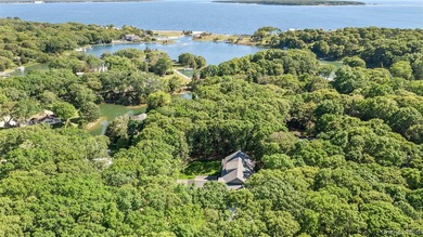 Your North Fork Escape | Modern Coastal Living in Nassau Point - photo 6