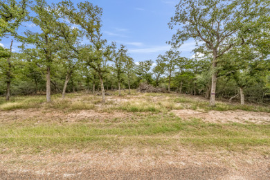 203 Burning Oaks Road at Wilderness Sounds in Somerville SOLD - Lake Lot SOLD! in Somerville, Texas