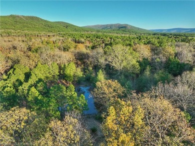 Discover the perfect blend of privacy, recreation, and - photo 11