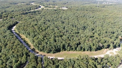 Build your dream estate on this rare lakefront lot in The - photo 12