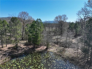 Discover the perfect blend of privacy, recreation, and - photo 12