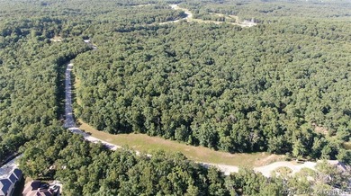 Build your dream estate on this rare lakefront lot in The - photo 13