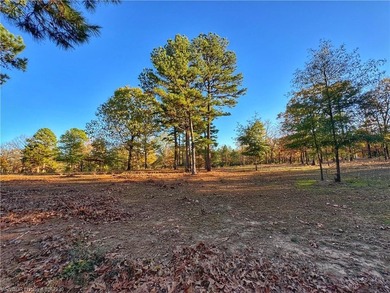 Discover the perfect blend of privacy, recreation, and - photo 17