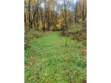 Pymatuning Reservoir Lot For Sale in Andover Ohio