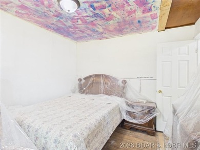 Unique 5-acre property at the edge of Laurie, just a half mile - photo 29