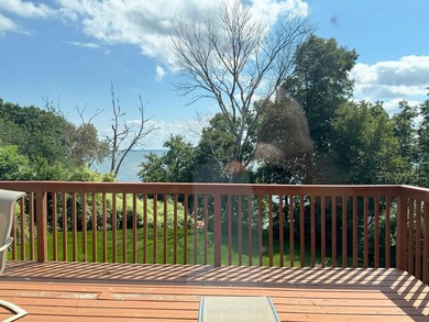 Phenomenal opportunity to own a polished lakehome on MilleLacs - photo 30