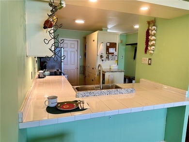 Check out this Million Dollar View in this roomy 1 bedroom, 1 - photo 5