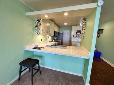 Check out this Million Dollar View in this roomy 1 bedroom, 1 - photo 6