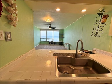 Check out this Million Dollar View in this roomy 1 bedroom, 1 - photo 7
