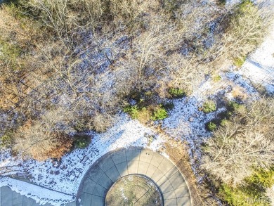 (private lake, pond, creek) Lot For Sale in Byrnes Mill Missouri