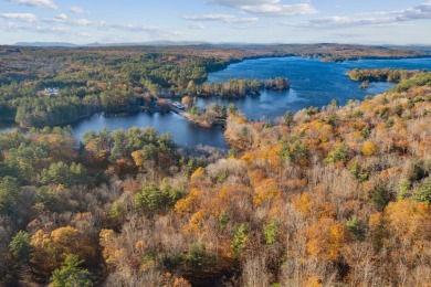 Lake Acreage For Sale in Casco, Maine