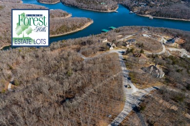 Lake Forest Hills at Table Rock Lake, Lots 35 & 36 - photo 7