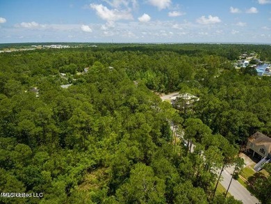 Good Building Lot Timber Ridge. Located in an AE Flood Zone - photo 11