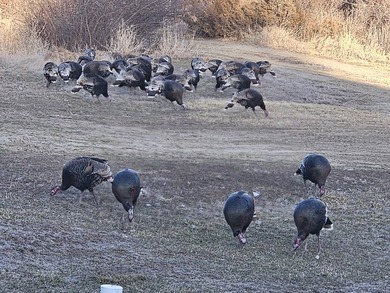 The Custer Legacy Ranch provides a rare combination to today's - photo 13