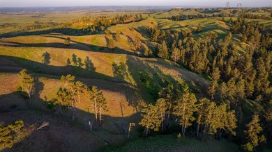 The Custer Legacy Ranch provides a rare combination to today's - photo 14