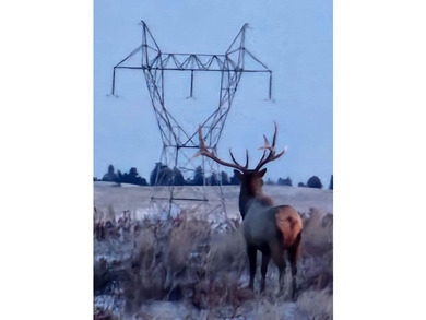 The Custer Legacy Ranch provides a rare combination to today's - photo 17