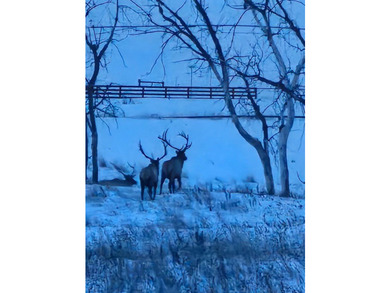 The Custer Legacy Ranch provides a rare combination to today's - photo 19