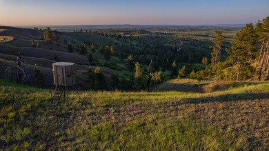 The Custer Legacy Ranch provides a rare combination to today's - photo 20