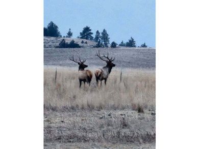 The Custer Legacy Ranch provides a rare combination to today's - photo 21