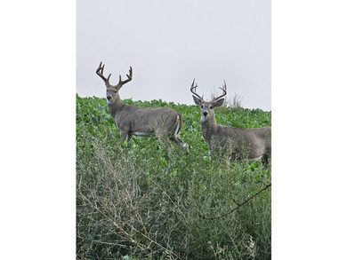 The Custer Legacy Ranch provides a rare combination to today's - photo 24