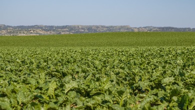 The Custer Legacy Ranch provides a rare combination to today's - photo 25