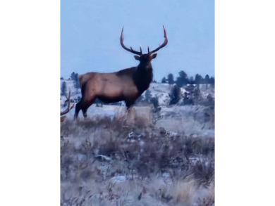 The Custer Legacy Ranch provides a rare combination to today's - photo 27