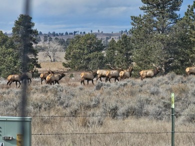 The Custer Legacy Ranch provides a rare combination to today's - photo 32
