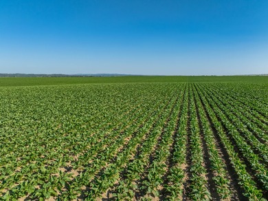 The Custer Legacy Ranch provides a rare combination to today's - photo 37