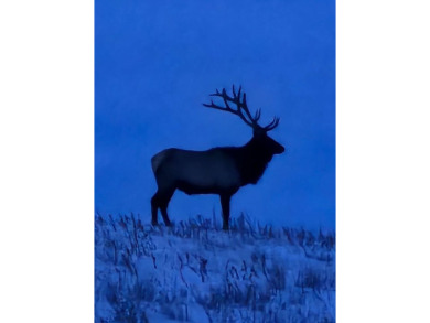 The Custer Legacy Ranch provides a rare combination to today's - photo 39