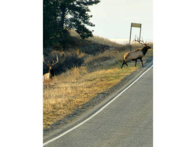 The Custer Legacy Ranch provides a rare combination to today's - photo 41