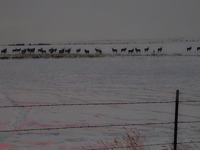 The Custer Legacy Ranch provides a rare combination to today's - photo 44