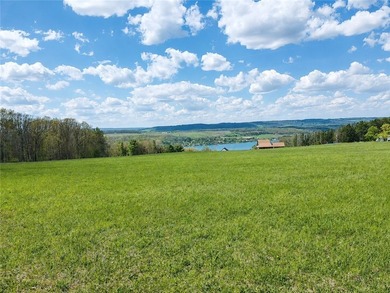Your new home can be built here with a gorgeous view of Keuka - photo 5
