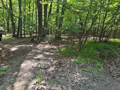 (private lake, pond, creek) Lot For Sale in Farwell Michigan
