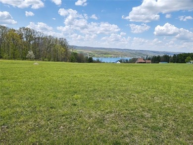 Your new home can be built here with a gorgeous view of Keuka - photo 8