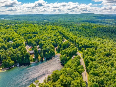Welcome to 297 Lake Road on Star Lake, NY, an outdoor enthusiast - photo 11