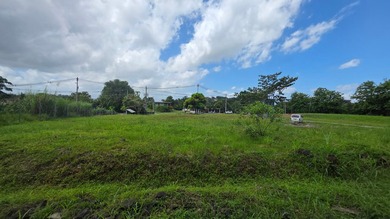 Strategic Industrial Property in One of Panama Oeste's - photo 11