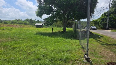 Strategic Industrial Property in One of Panama Oeste's - photo 15