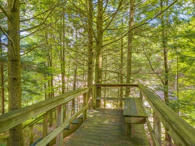 Welcome to 297 Lake Road on Star Lake, NY, an outdoor enthusiast - photo 25