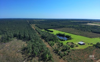 (private lake, pond, coastal) Acreage For Sale in Elberta Alabama