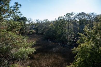 Three miles from downtown Charleston one finds Wappoo Landing - photo 38