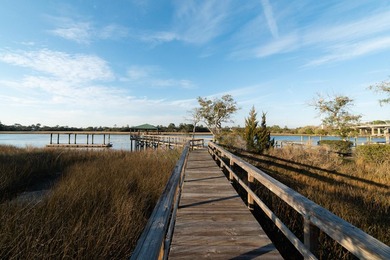 Three miles from downtown Charleston one finds Wappoo Landing - photo 47