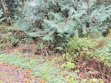 Reed Lake Lot For Sale in Sedro Woolley Washington